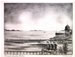 My Gallery: Image